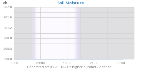 daymoistsoil